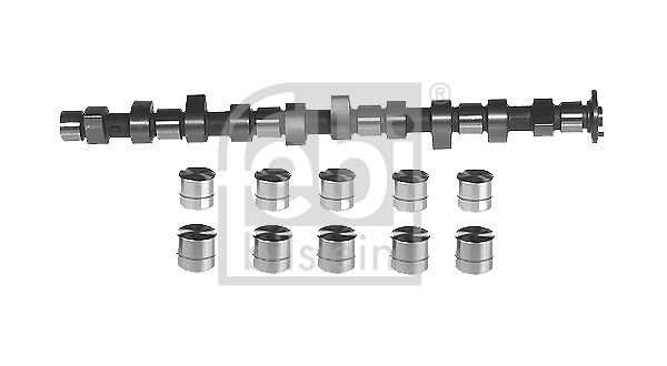 FEBI BILSTEIN Комплект распредвала 05444